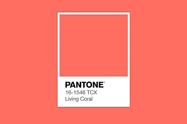 IL COLORE PANTONE DELL’ANNO 2019