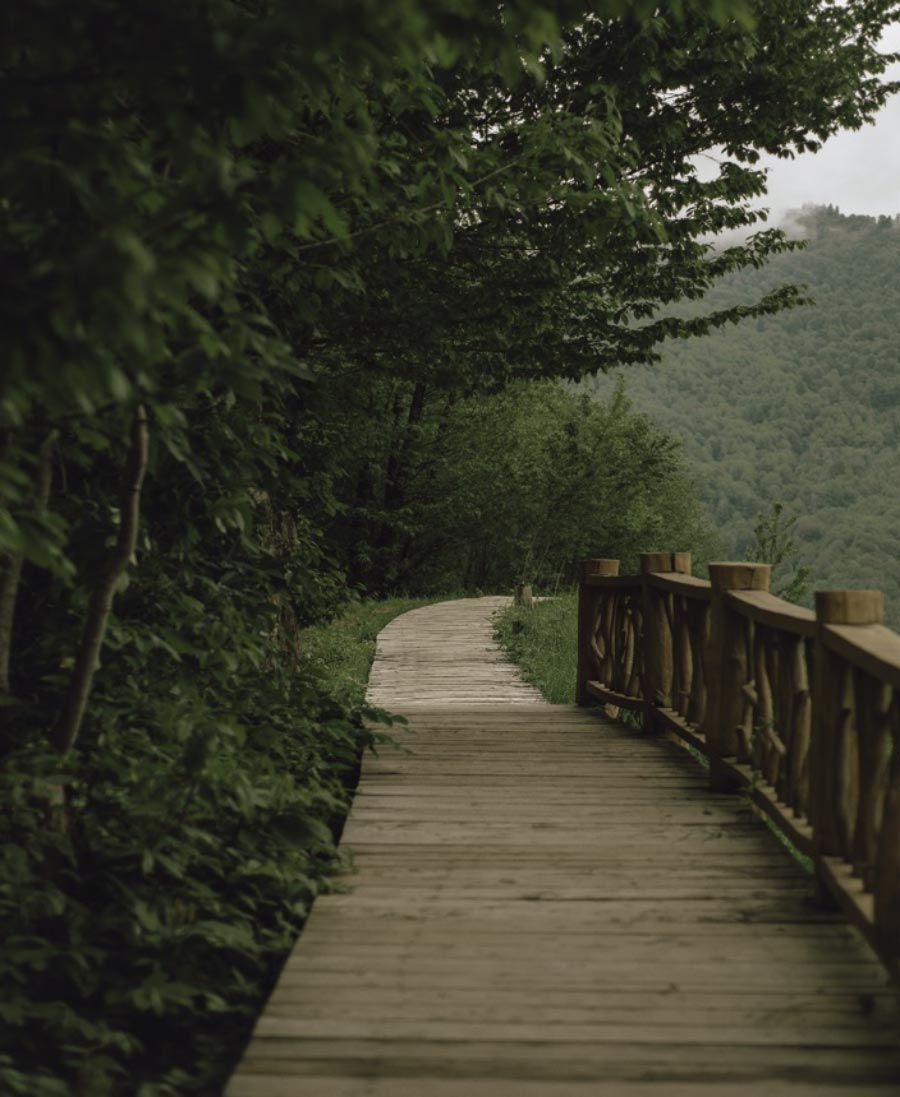 PASSEGGIARE NELLA NATURA